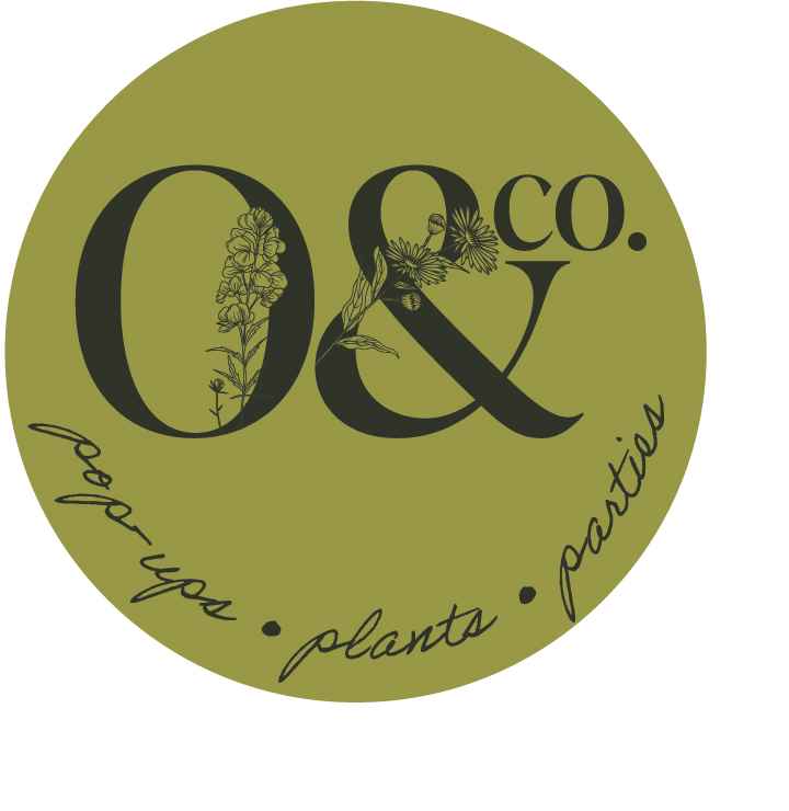 O & Co. Logo